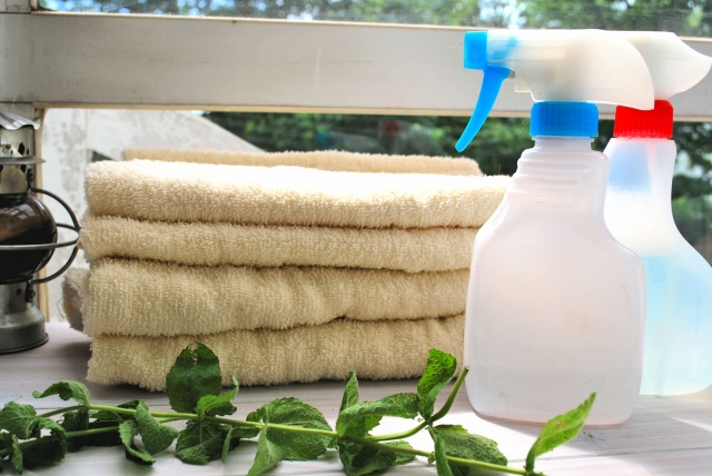 カビ取り剤の選び方