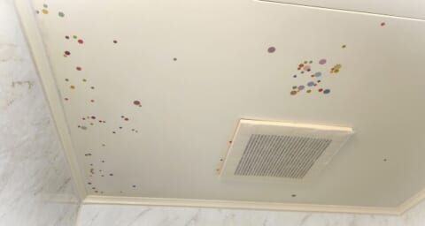 【5分で完了!】お風呂天井のカビ取り方法|簡単で安心な手順を解説