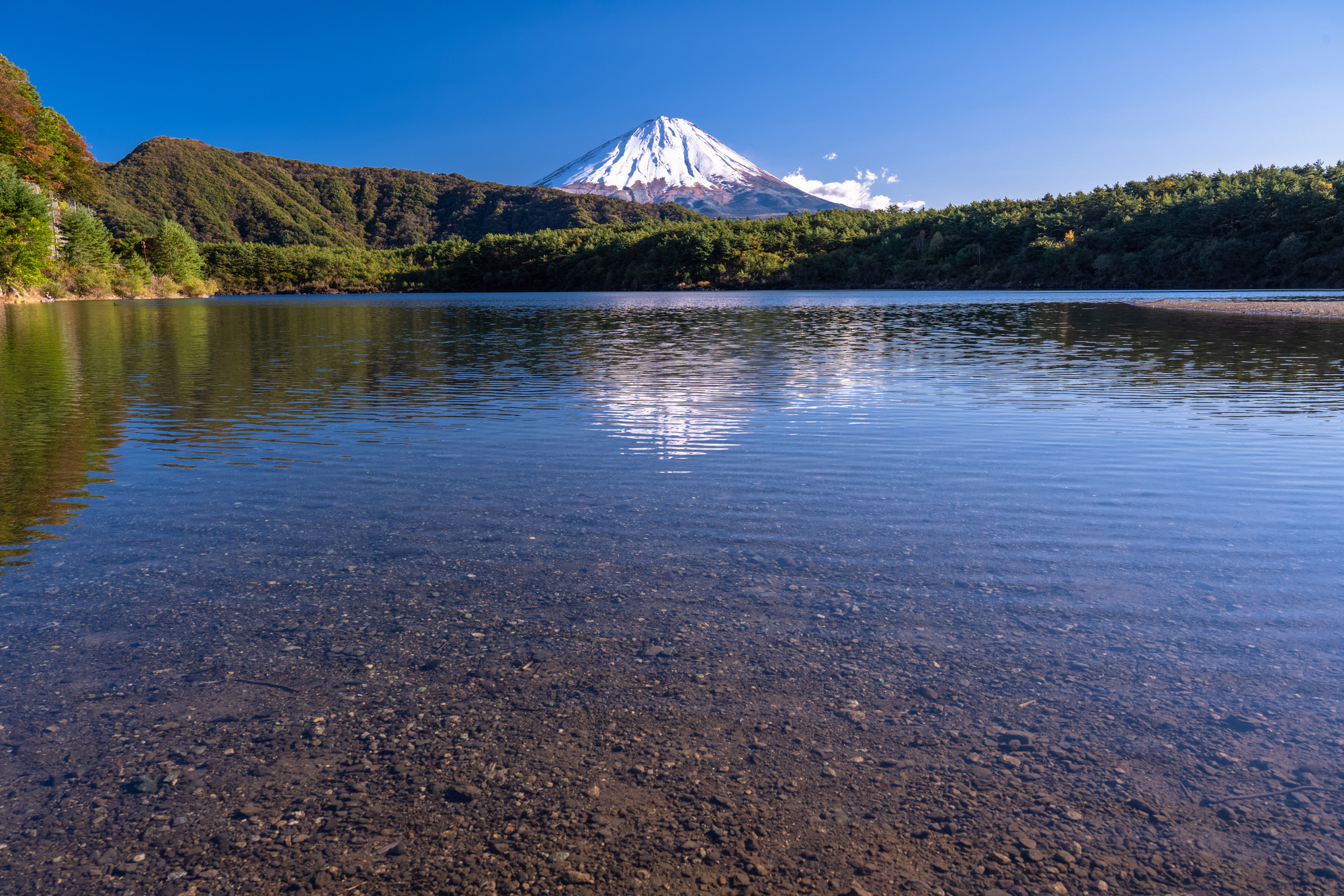 星のや富士やアミューズヴィレッジも！