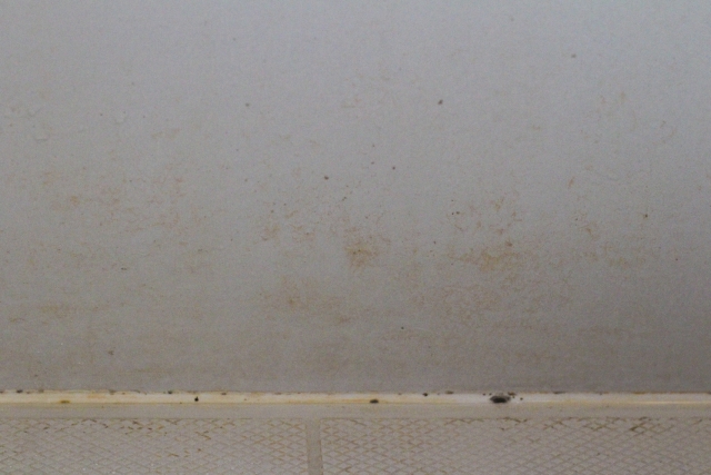 お風呂の赤カビについて