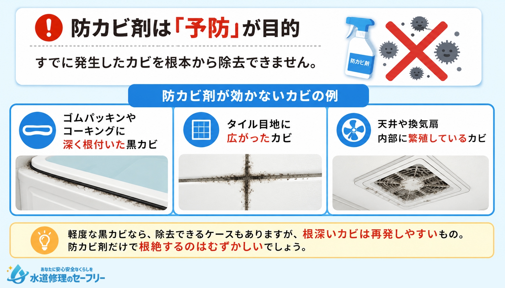防カビ剤が効かないカビの例を紹介