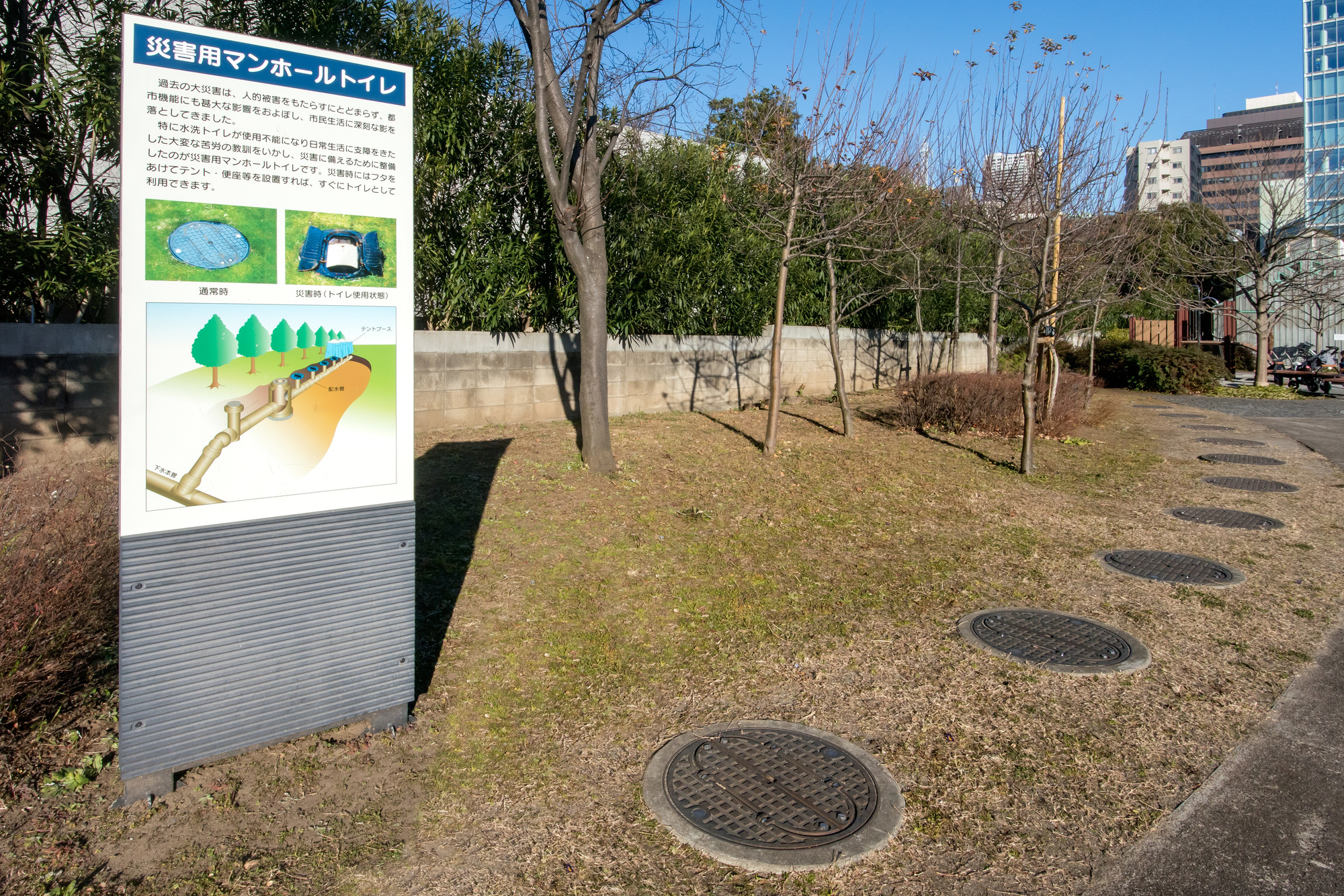 その他の自治体の取り組み