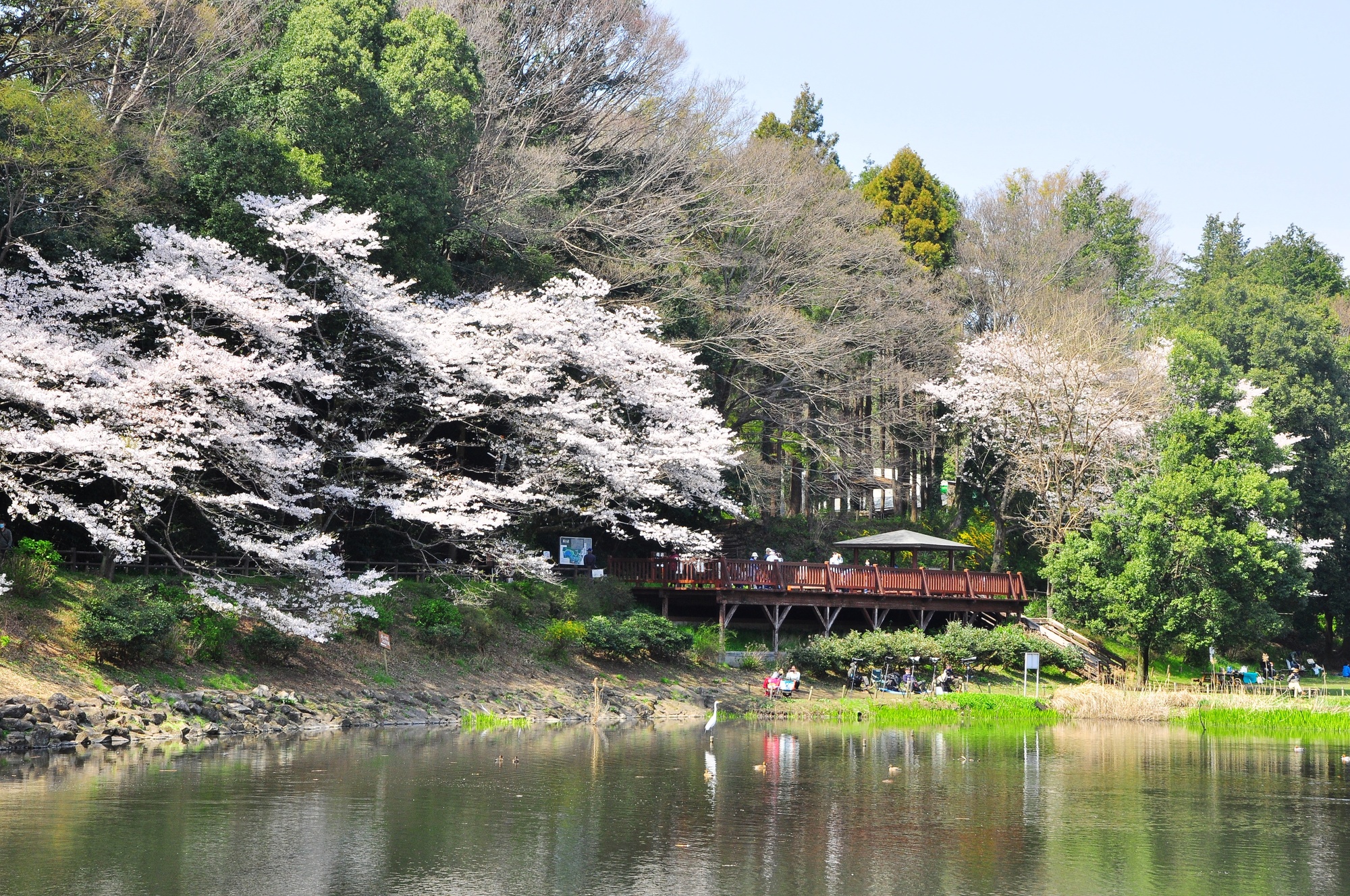 神奈川県大和市の地域密着型の取り組み