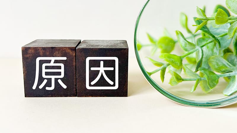 下水が詰まる主な原因4つ