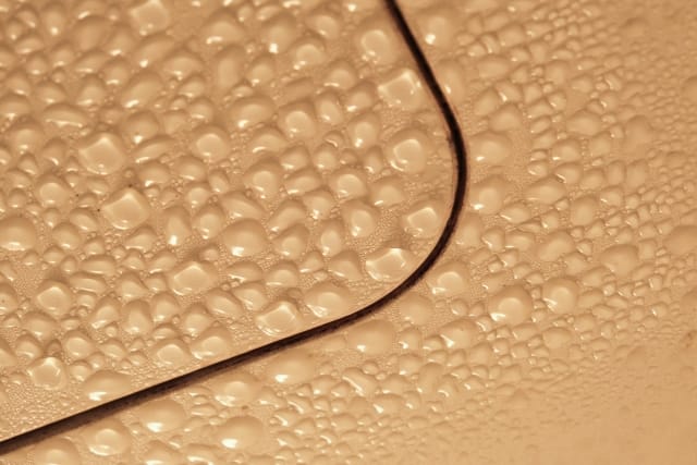 お風呂のお湯を溜めたままでカビの影響を受けやすい場所