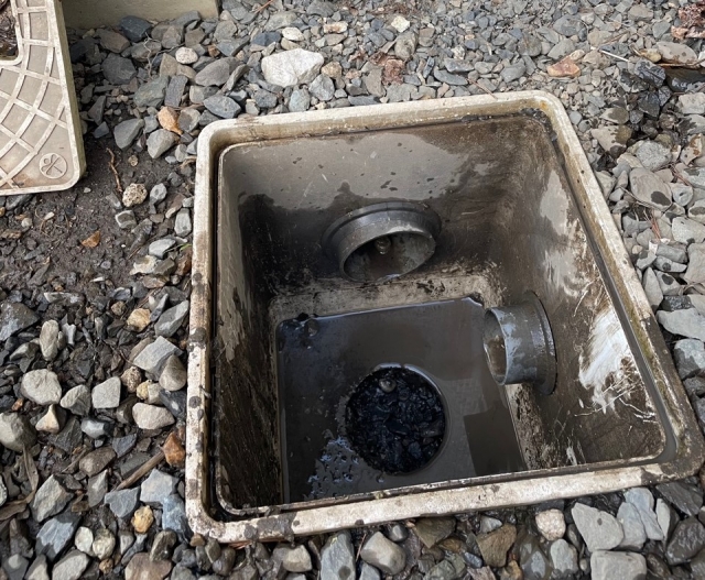 業者に頼むべきケースと選び方