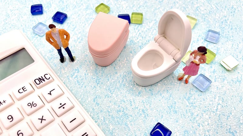 カインズホームの便座交換以外で検討する際の費用相場