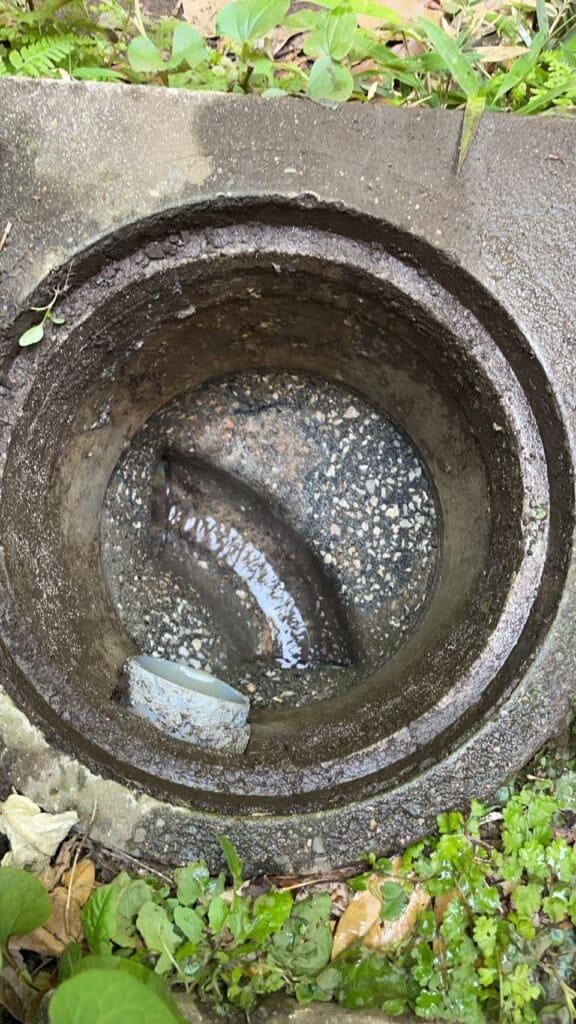 つまり除去後