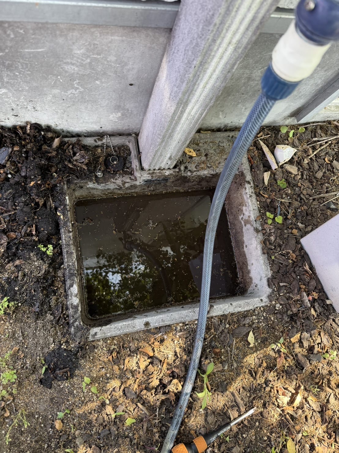 ガーデンパンつまり