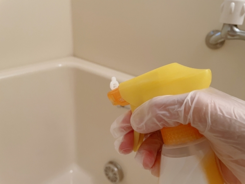 カビキラーとカビハイターの違いを見ている