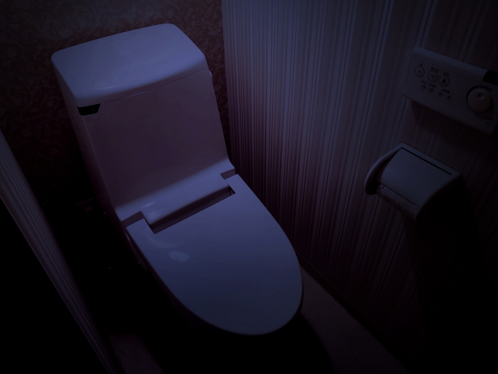 停電時にトイレを使用する際の注意点