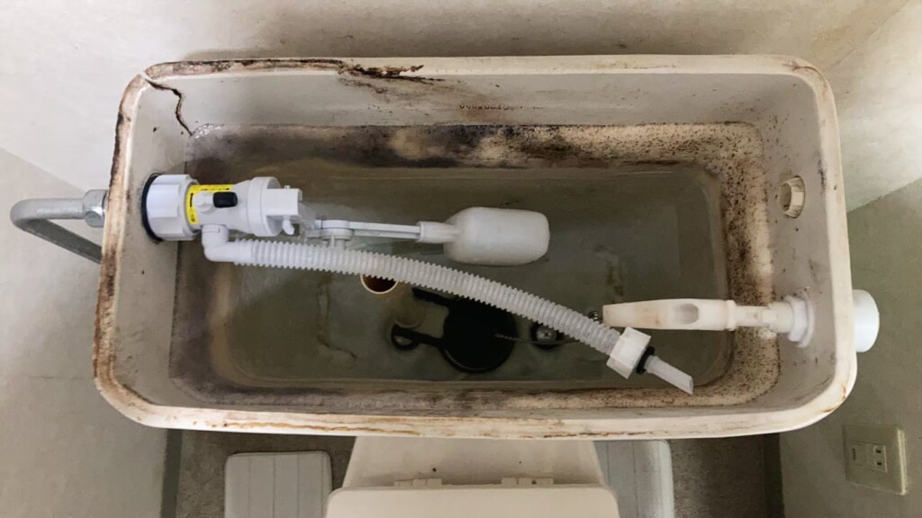 作業後