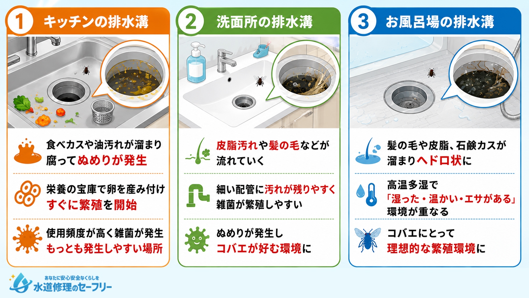 排水溝にコバエが現れる原因を解説