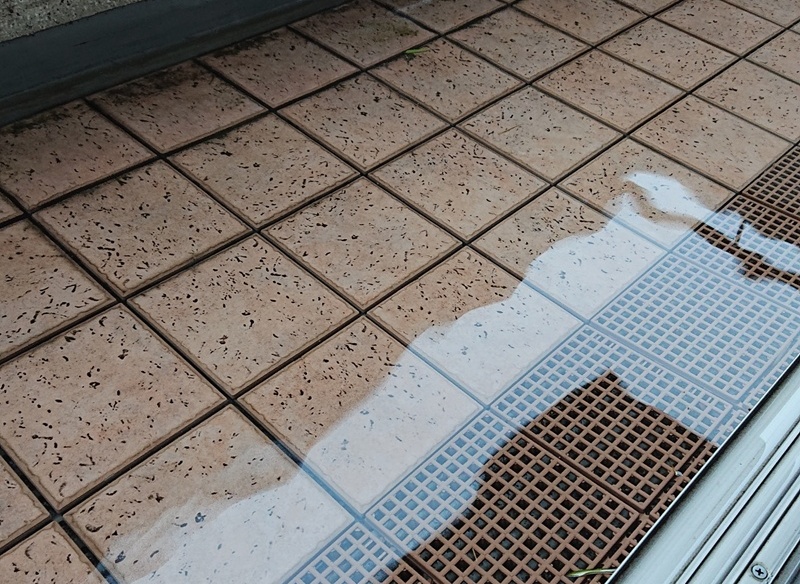 ベランダの排水溝つまりを放置するリスク