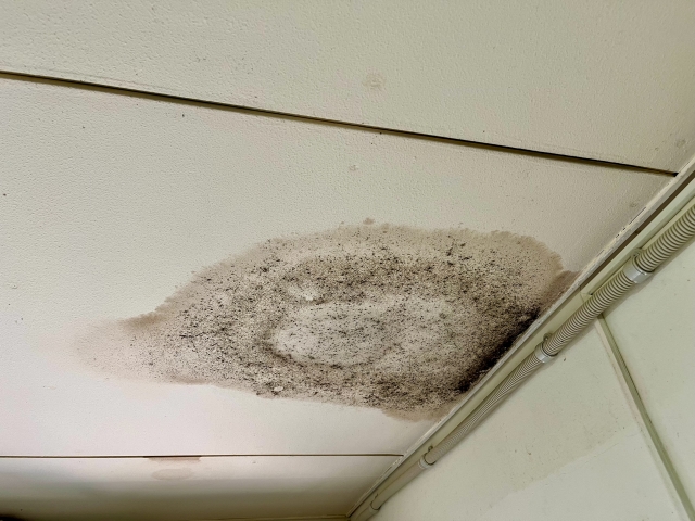 マンションのお風呂の水漏れは下の階への被害に要注意