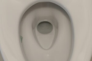 17681034647477318897531595531770