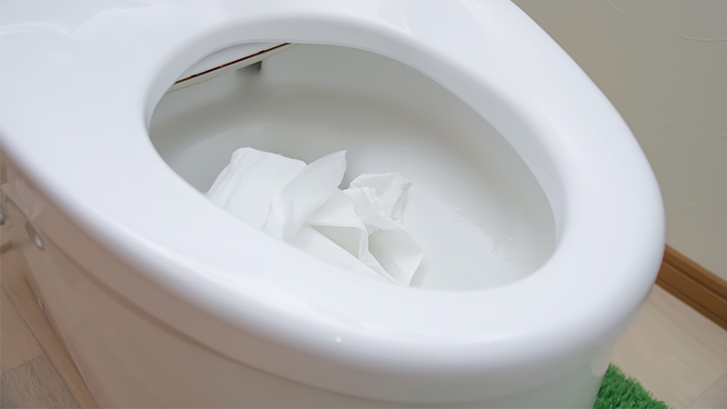 犬・猫・うさぎのうんちはトイレに流してはいけない？