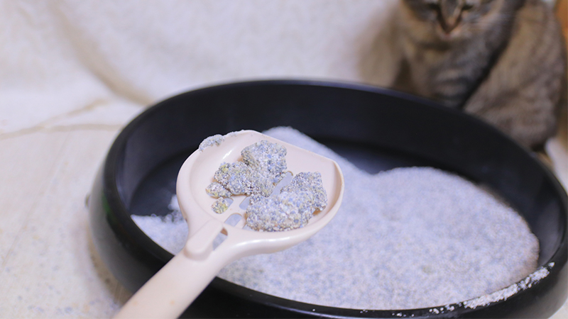 ペットのうんち・トイレ砂の正しい処分方法