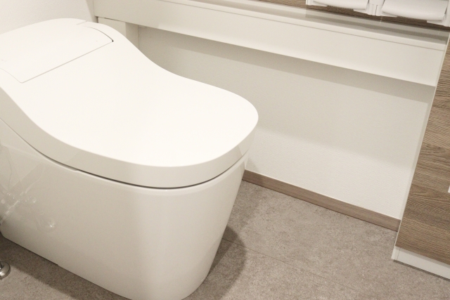 トイレに流してはいけないものに関する注意点