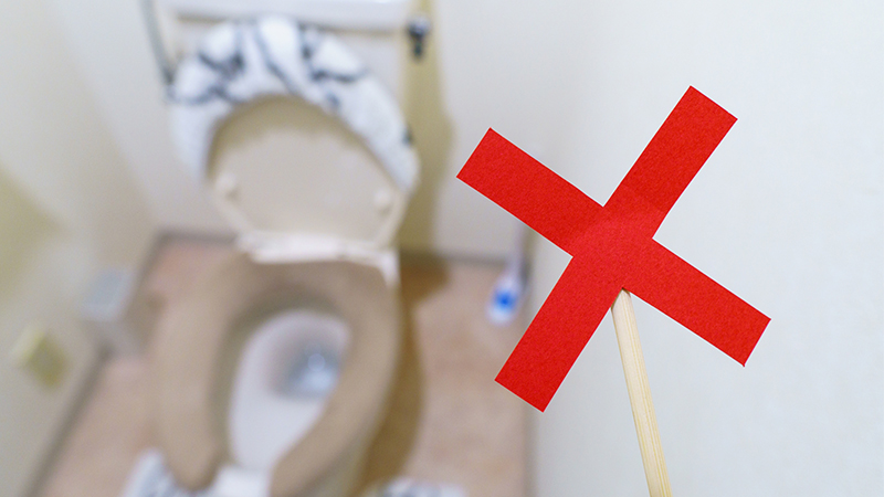 ゴキブリやムカデをトイレに流すのは避けるべき理由