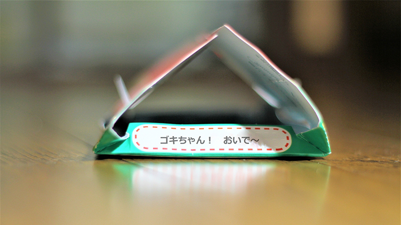 ゴキブリやムカデの正しい処理方法