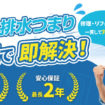 smile partner img wp