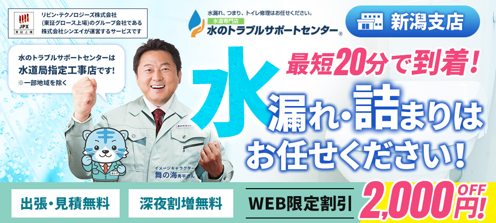 bnr nigata