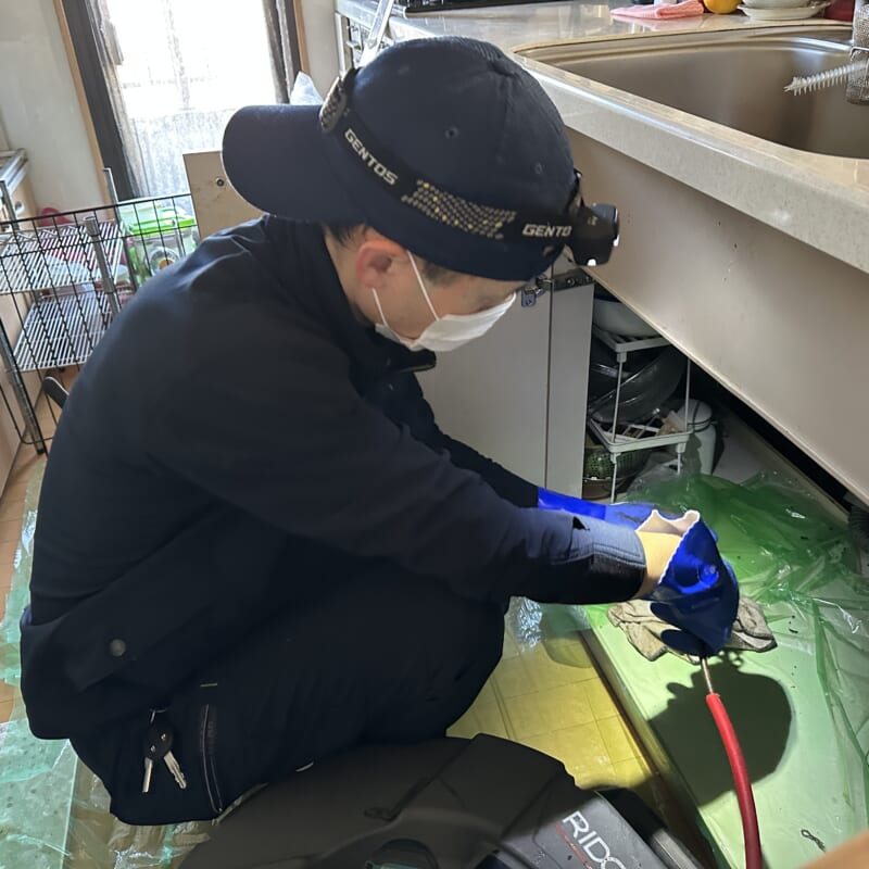 800x800 20231208062225079 img 2468